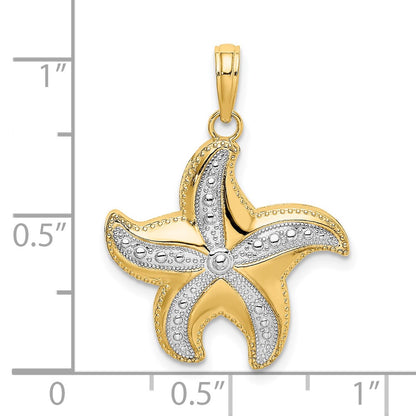 10K and White Rhodium Diamond-cut Polished Starfish Charm