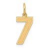 10k Medium Satin Number 7 Charm