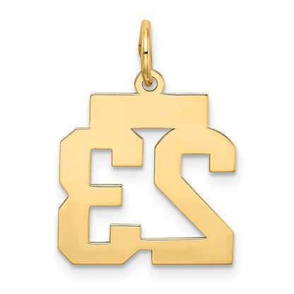 10k Small Satin Number 23 Charm
