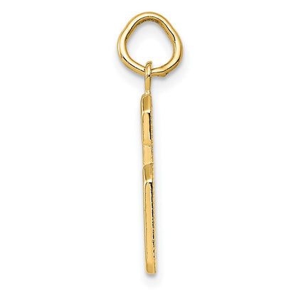 10k Medium Polished Number 6 Charm