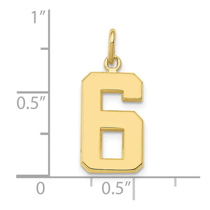 10k Medium Polished Number 6 Charm