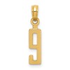 10k Small Number 9 Block Charm
