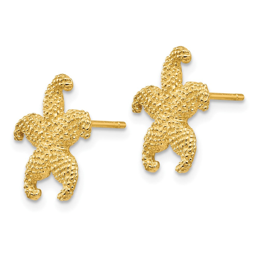 10K Textured Starfish Post Earrings