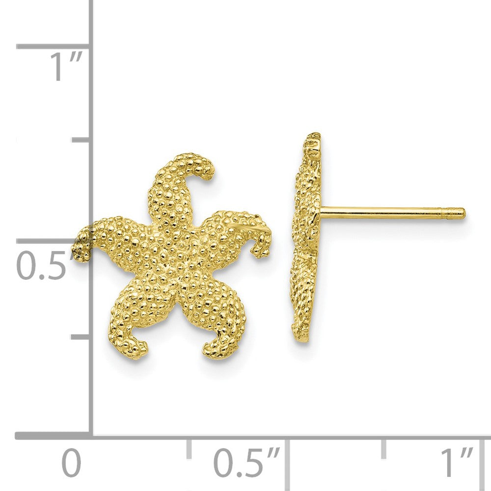 10K Textured Starfish Post Earrings