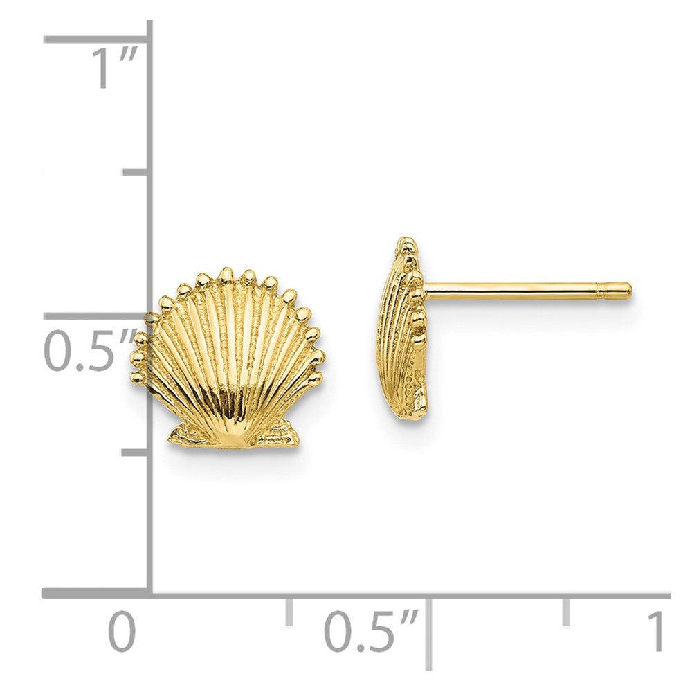 10K Scallop Shell Post Earrings