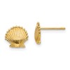 10K Scallop Shell Post Earrings