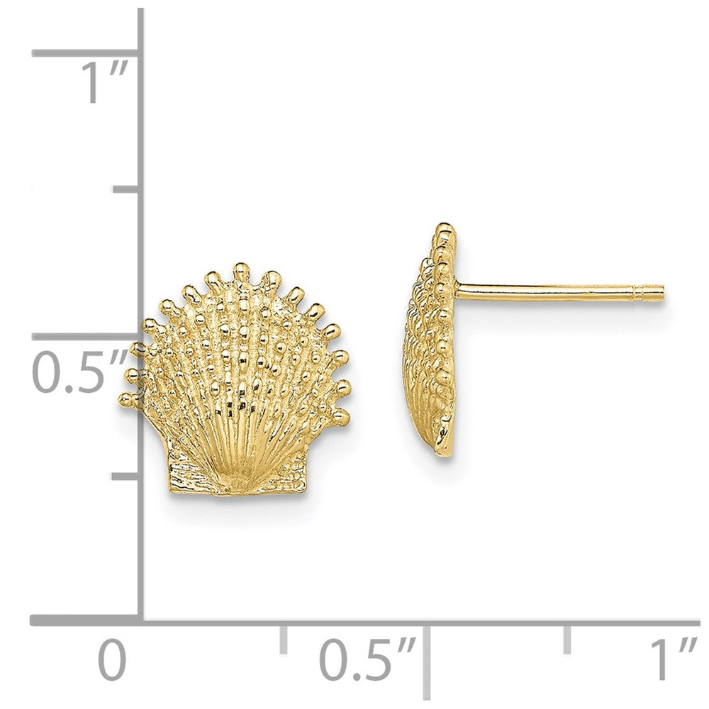 10K Beaded Scallop Shell Post Earrings