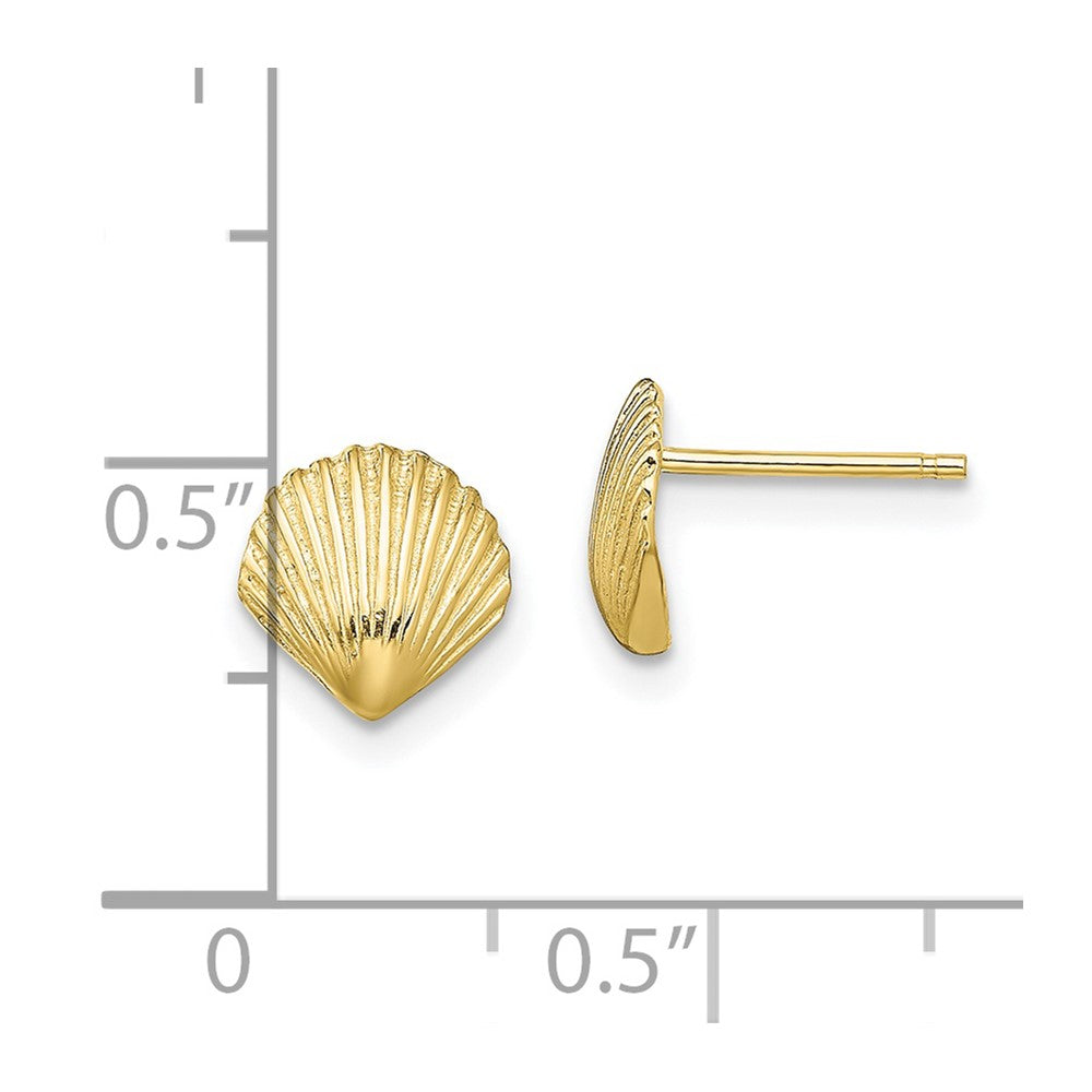 10K Scallop Shell Post Earrings