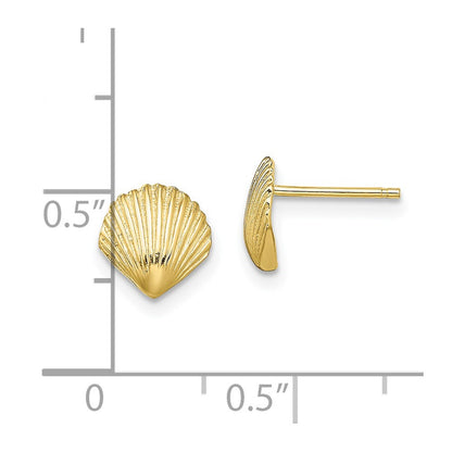 10K Scallop Shell Post Earrings