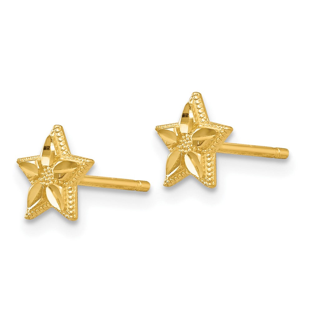 10k Polished and Diamond-cut Star Post Earrings