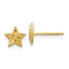 10k Polished and Diamond-cut Star Post Earrings