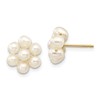 10k 3-4mm White Egg Freshwater Cultured Pearl Flower Post Earrings