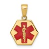10K Red Enameled Medical Symbol 14x15mm Hexagon Disc Pendant