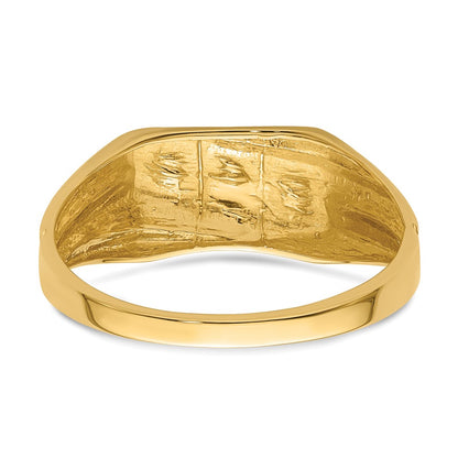 IB Goodman 10K Mens AA Diamond DAD Ring