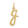 10k Lower Case Letter g Initial Charm