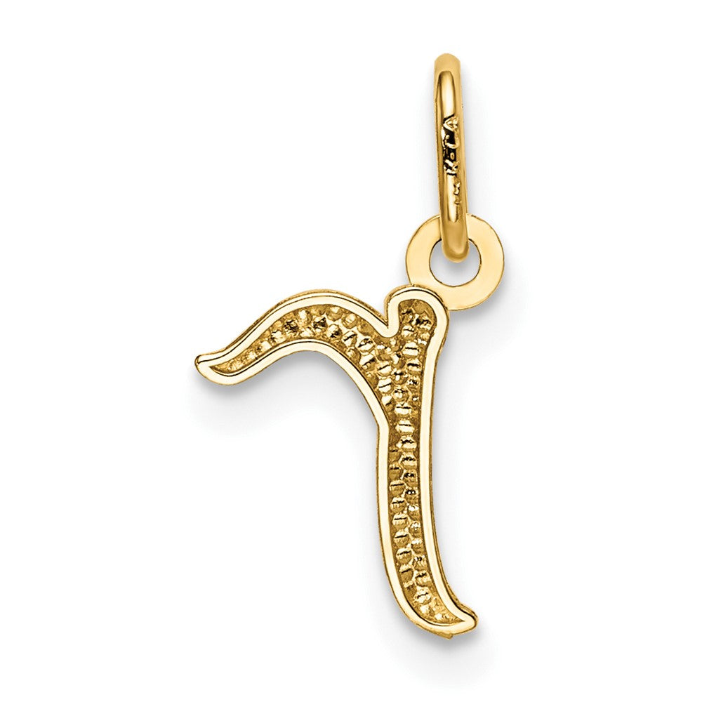 10k Lower Case Letter r Initial Charm
