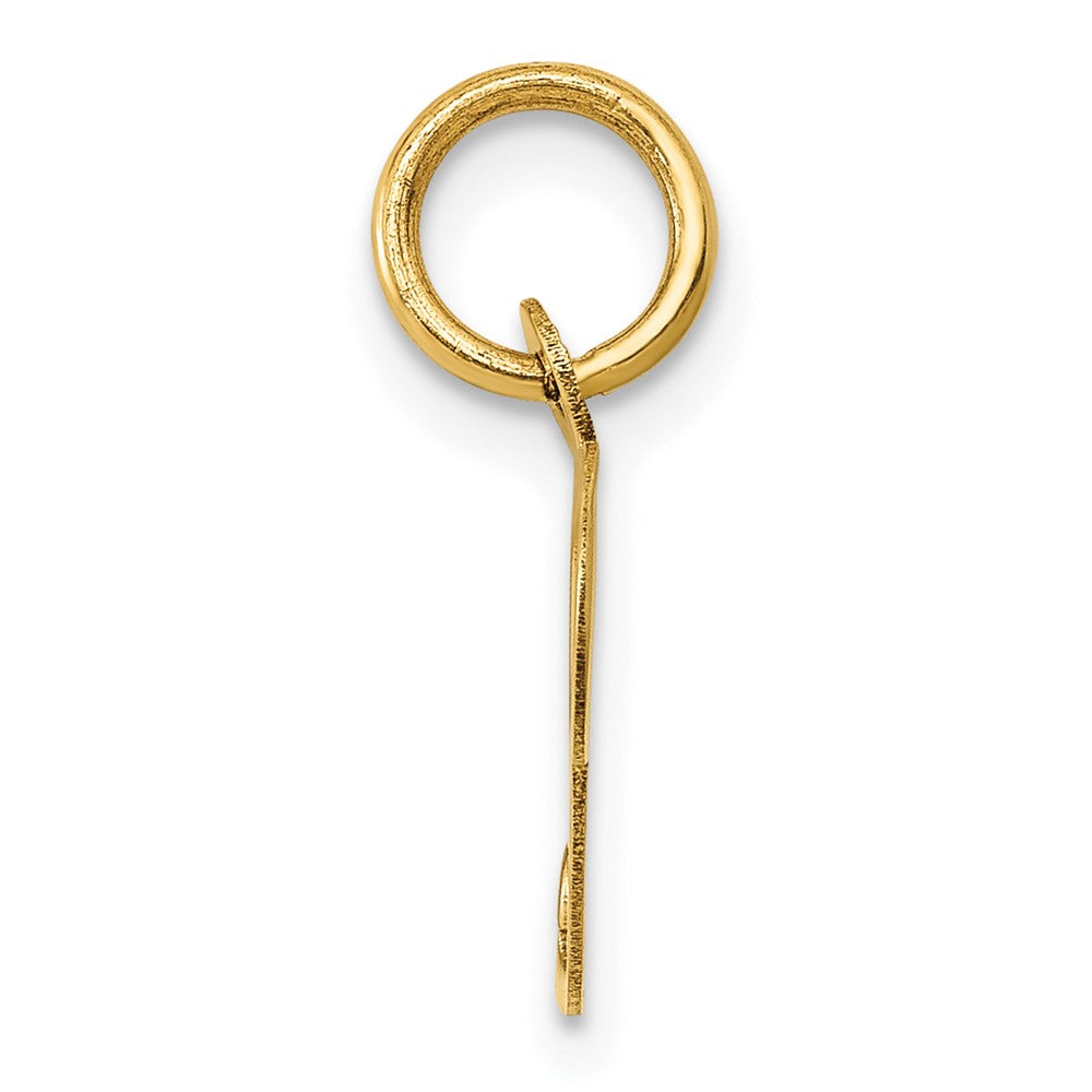 10K Medium Fancy Script Initial P Charm