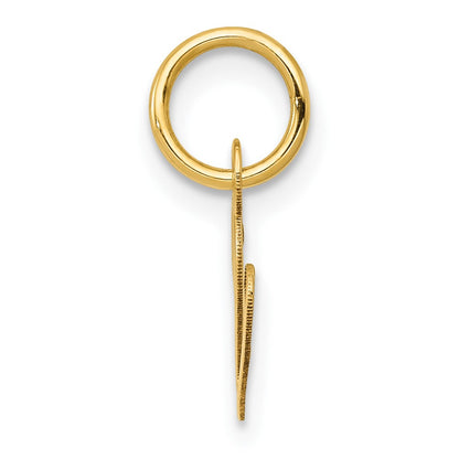 10K Medium Fancy Script Initial V Charm