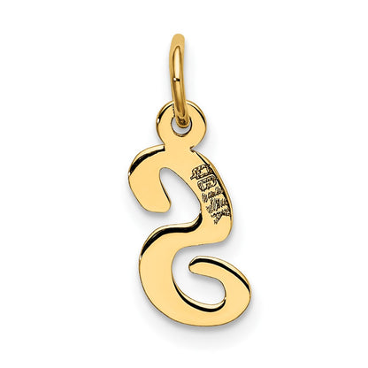 10k Small Script Initial S Charm