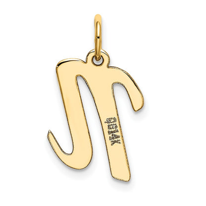 10K Medium Script Letter N Initial Charm
