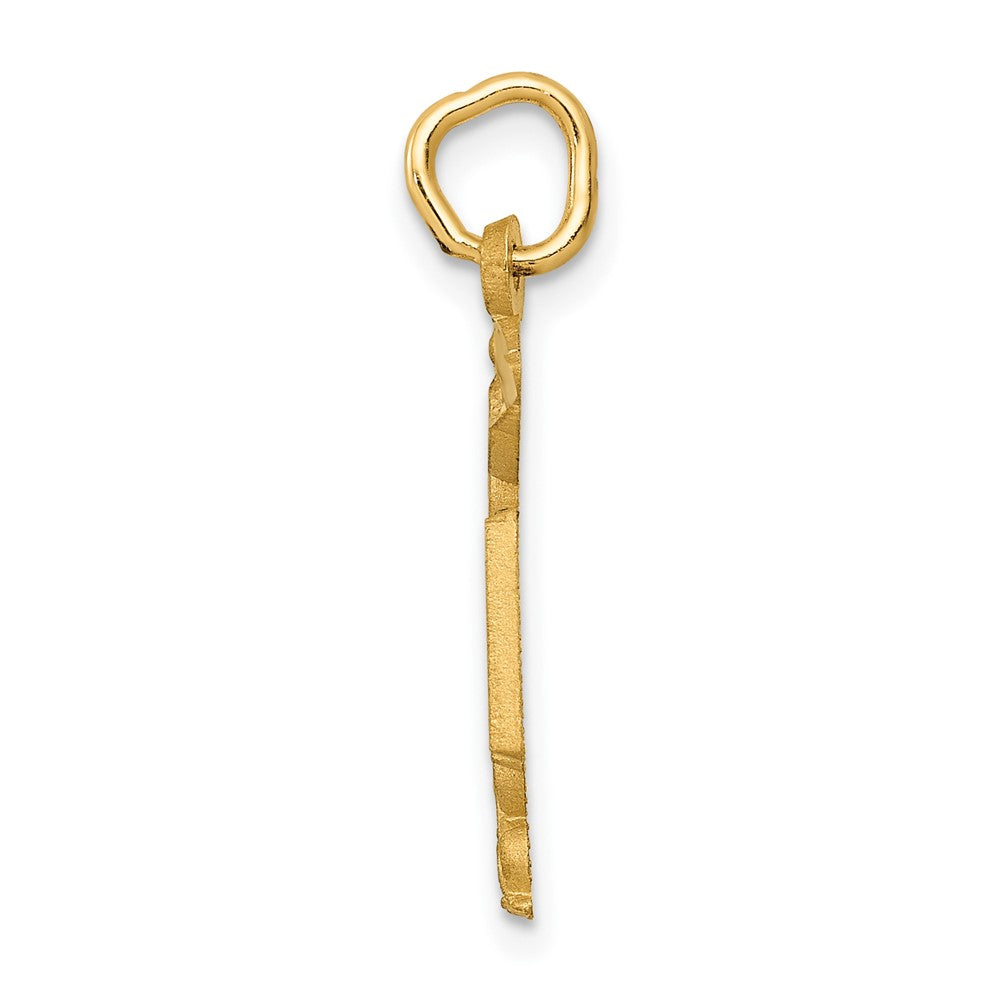 10k Nurse RN Caduceus Charm