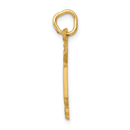 10k Nurse RN Caduceus Charm