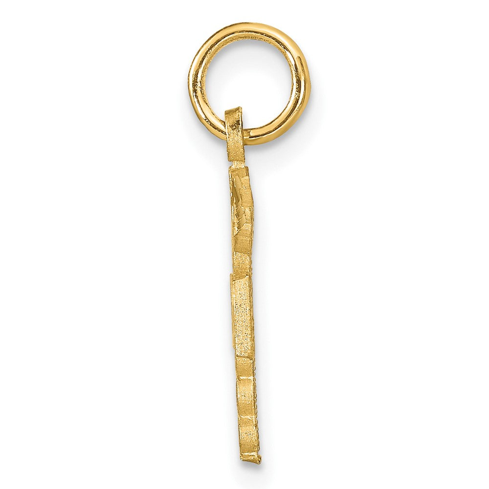 10k Nurse RN Charm