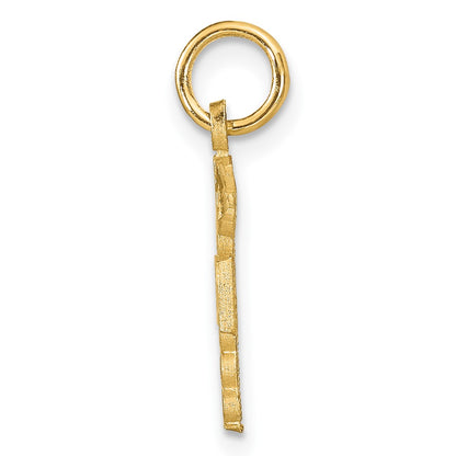10k Nurse RN Charm