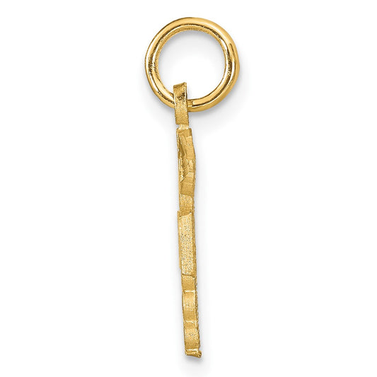 10k Nurse RN Charm