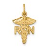 10k Nurse RN Charm