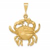 10k Large Satin Diamond-cut Cancer Zodiac Charm