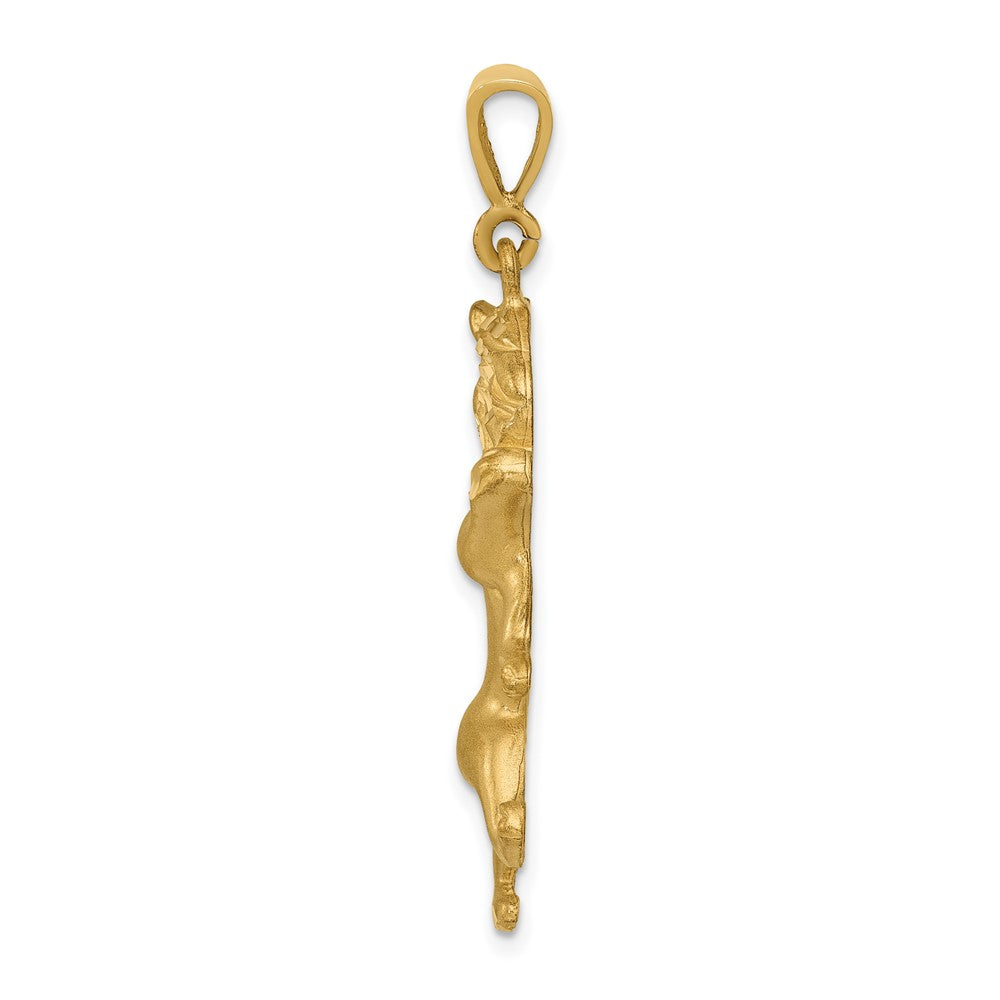 10k Large Satin Diamond-cut Leo Zodiac Charm