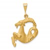 10k Large Satin Diamond-cut Capricorn Zodiac Charm