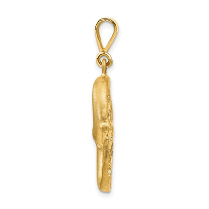 10k Large Satin Diamond-cut Pisces Zodiac Charm
