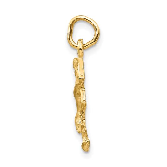 10k Small Satin Diamond-cut Leo Zodiac Charm