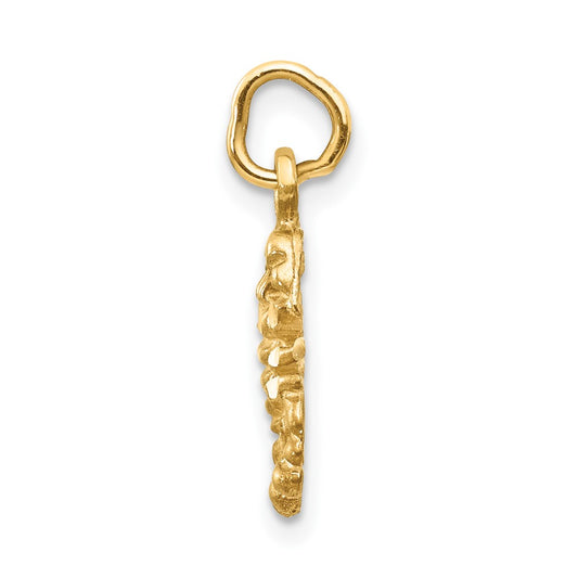 10k Small Satin Diamond-cut Scorpio Zodiac Charm