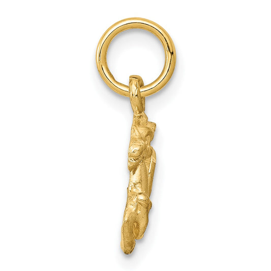 10k Small Satin Diamond-cut Capricorn Zodiac Charm