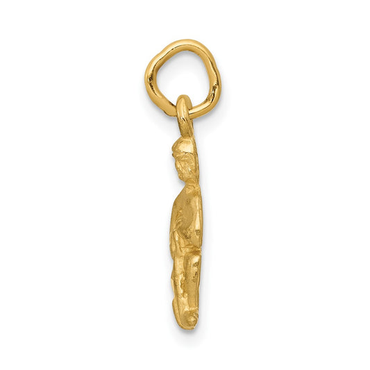 10k Small Satin Diamond-cut Aquarius Zodiac Charm