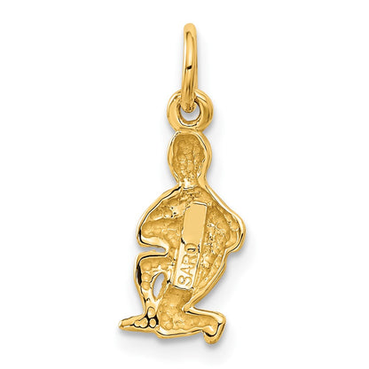 10k Small Satin Diamond-cut Aquarius Zodiac Charm