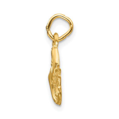 10k Small Satin Diamond-cut Pisces Zodiac Charm