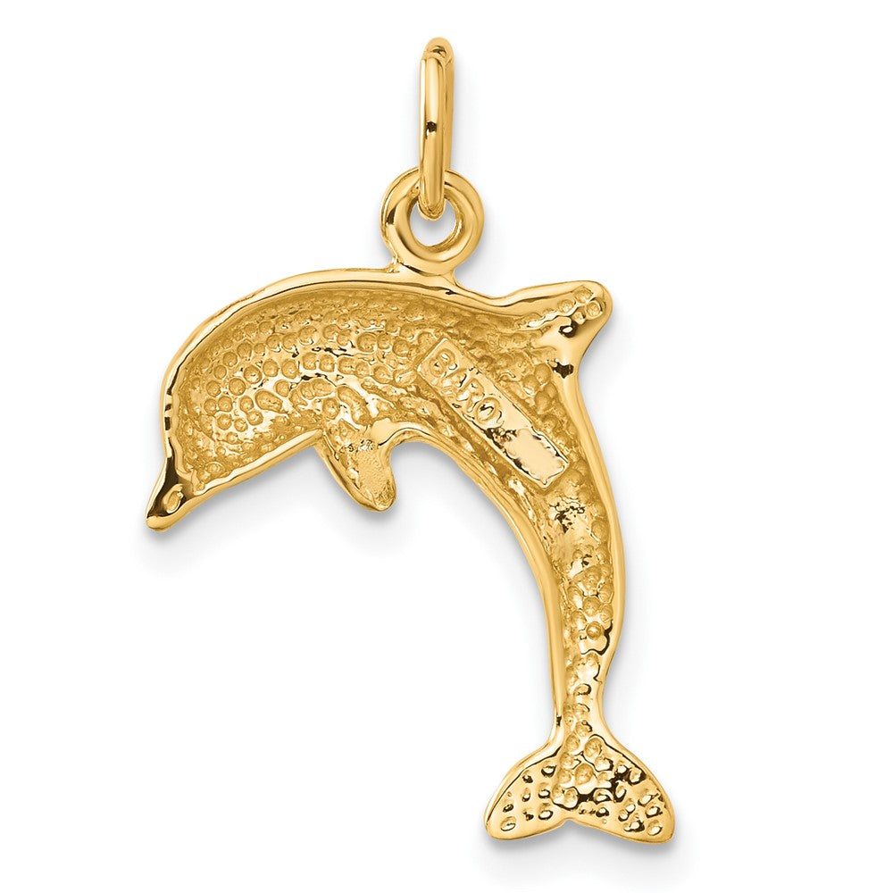 10k Jumping Dolphin Charm