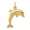 10k Jumping Dolphin Charm