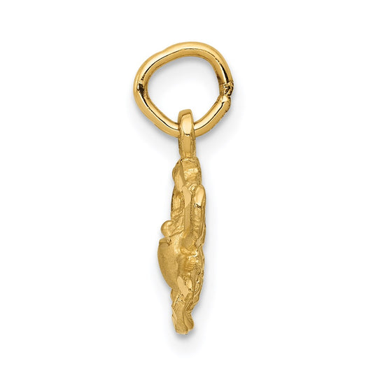 14k Satin Diamond-cut Cancer Zodiac Charm