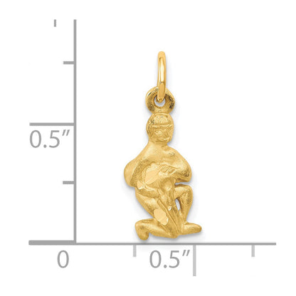 14k Satin Diamond-cut Aquarius Zodiac Charm