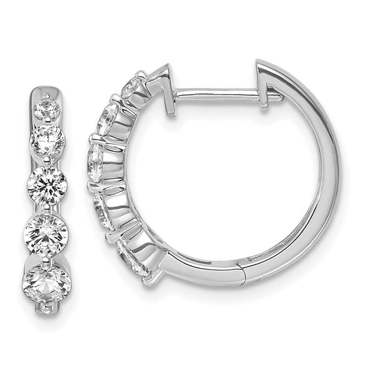 True Origin 14K White Gold 1 carat Lab Grown Diamond VS+ F+ Hinged Hoop Complete Earrings