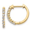 14k 1/3 carat Lab Grown Diamond VS/SI+ G+ Complete Hinged Hoop Earrings