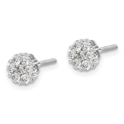 14k White Gold 5/8 carat Lab Grown Diamond VS/SI+ G+ Screwback Cluster Post Earrings