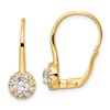 14k 1ct.  Lab Grown Diamond VS/SI+ G+ Complete Drop Leverback Earrings