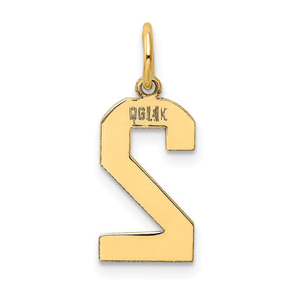 14k Medium Polished Number 2 Charm