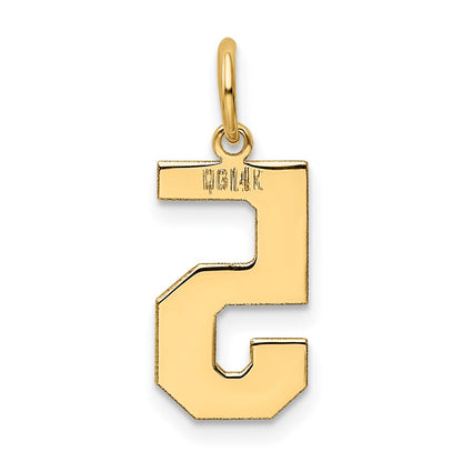 14k Medium Polished Number 5 Charm